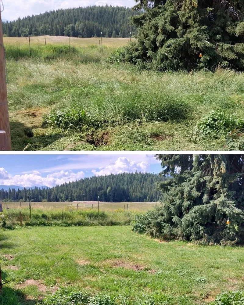 Professional yard cleanup service in Bonners Ferry, ID by Runkle’s LandWorks