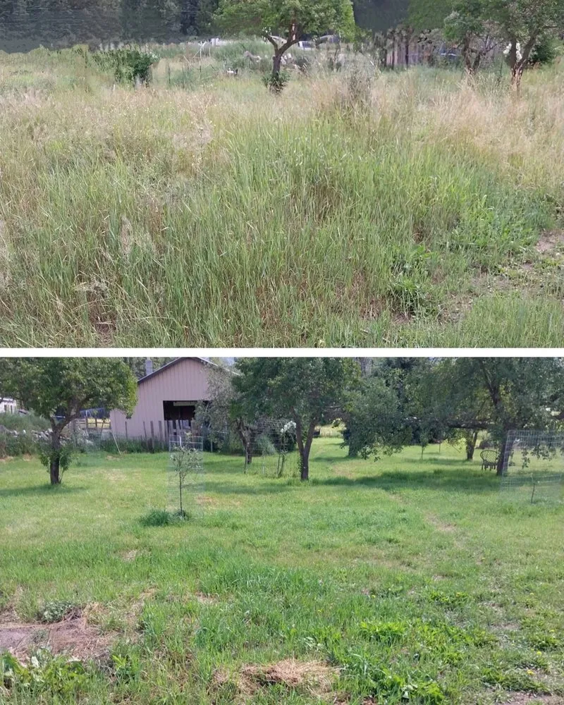 Trusted landscape installation for homes across Bonners Ferry, ID - Runkle’s LandWorks