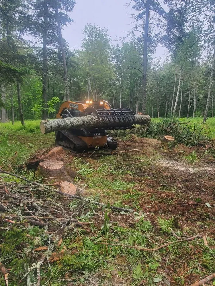 Reliable yard cleanup service in Blue Hill, ME by Runnells Prperty Maintenance