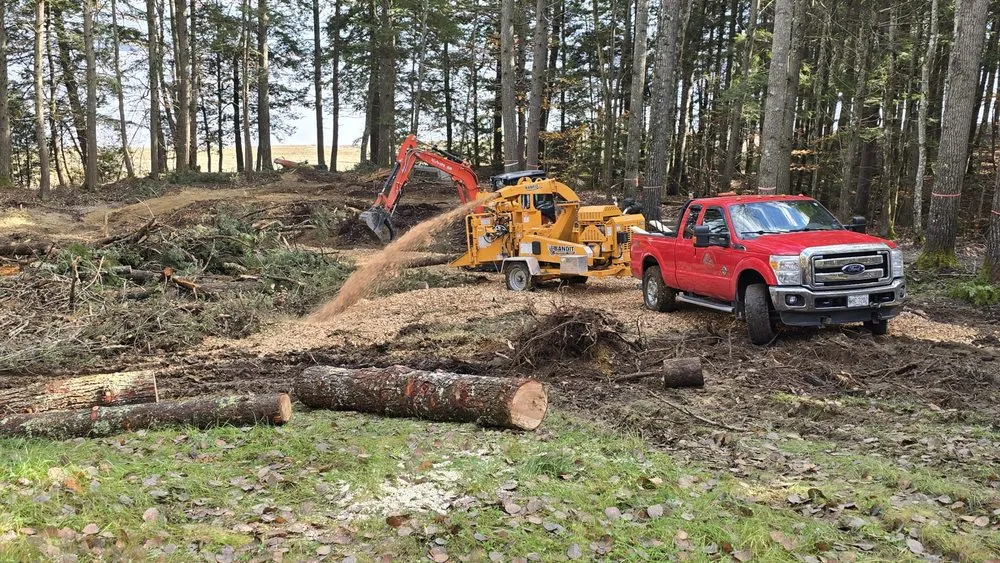 Professional lawn mowing service for homes across Blue Hill, ME - Runnells Prperty Maintenance