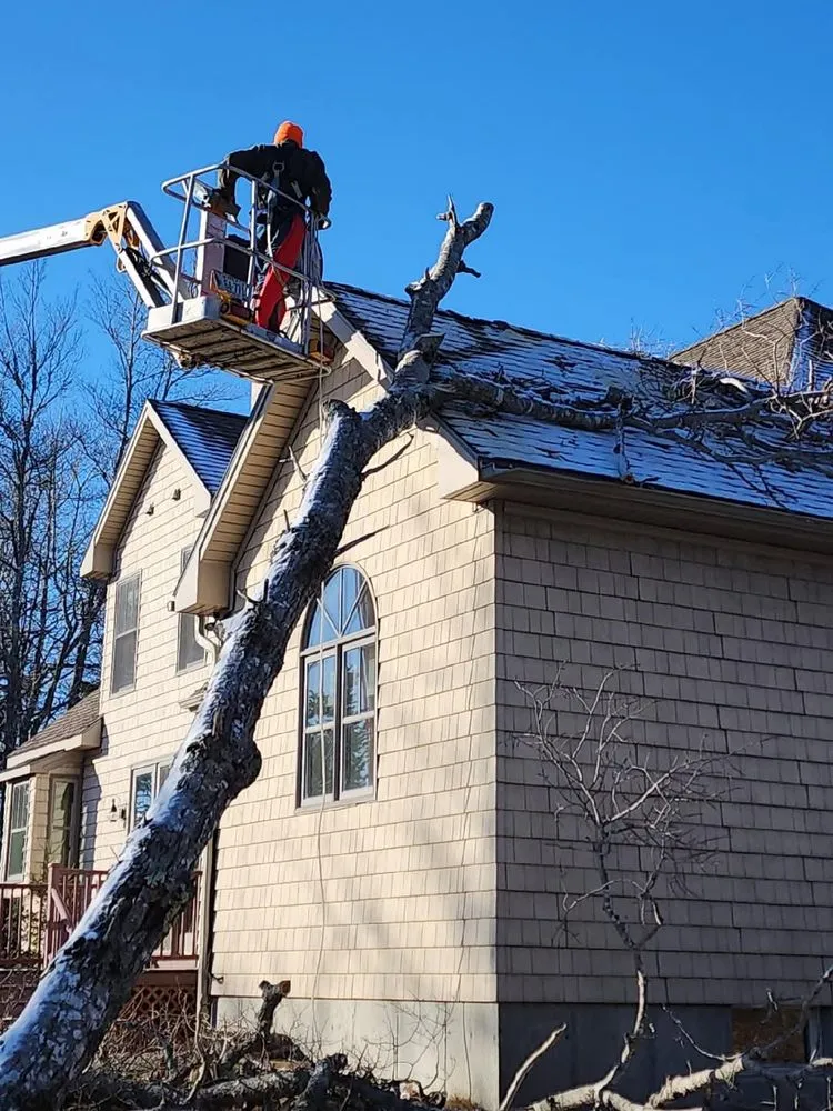 Professional landscape design experts serving Blue Hill, ME - Runnells Prperty Maintenance