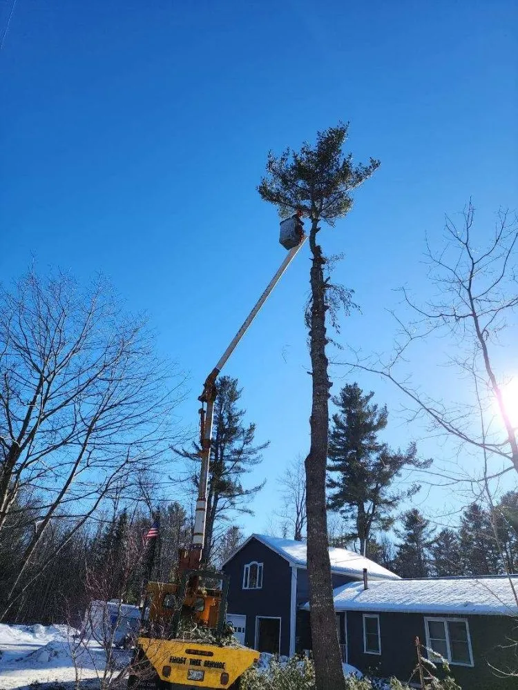 Expert yard cleanup service near you in Blue Hill, ME by Runnells Prperty Maintenance