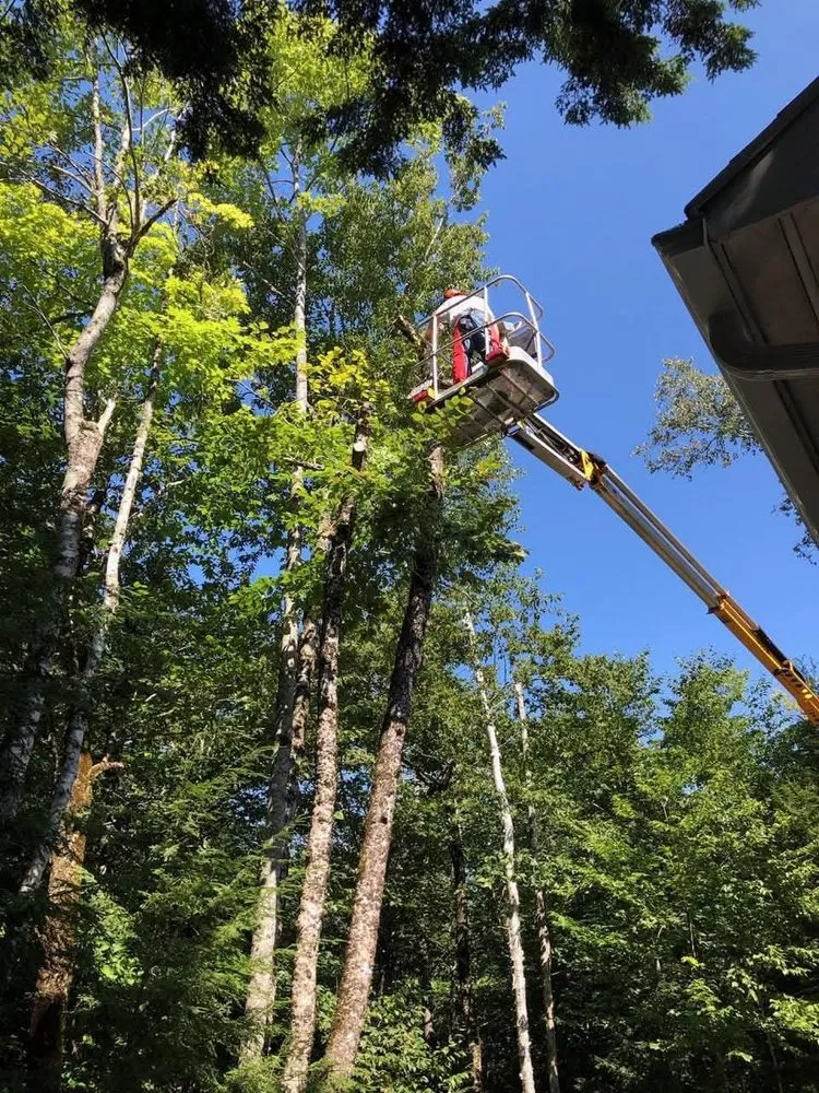 Expert yard cleanup service for beautiful yards across Blue Hill, ME - Runnells Prperty Maintenance