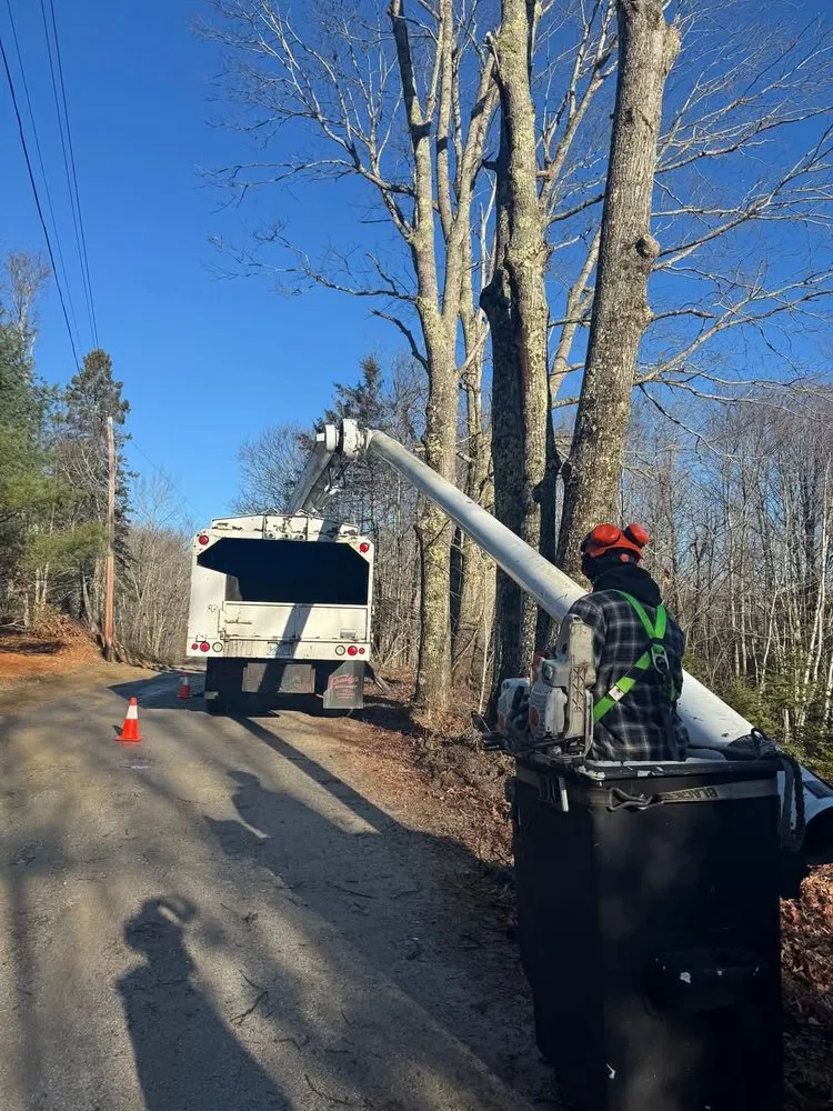 Trusted residential landscaping experts serving Blue Hill, ME - Runnells Prperty Maintenance