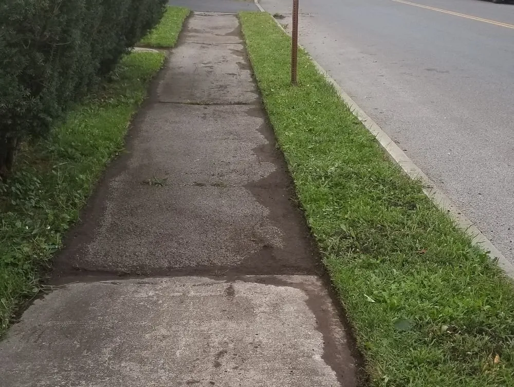 Local residential landscaping near you across Syracuse, NY - Runnin'Bugz Lawn, Pest and Snow Services