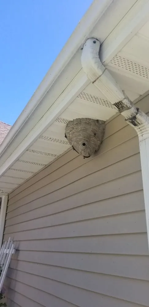 Expert landscaping services experts serving Syracuse, NY - Runnin'Bugz Lawn, Pest and Snow Services