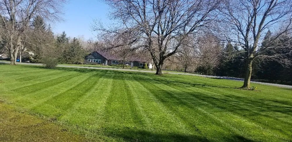 Top-rated residential landscaping in Syracuse, NY - Runnin'Bugz Lawn, Pest and Snow Services