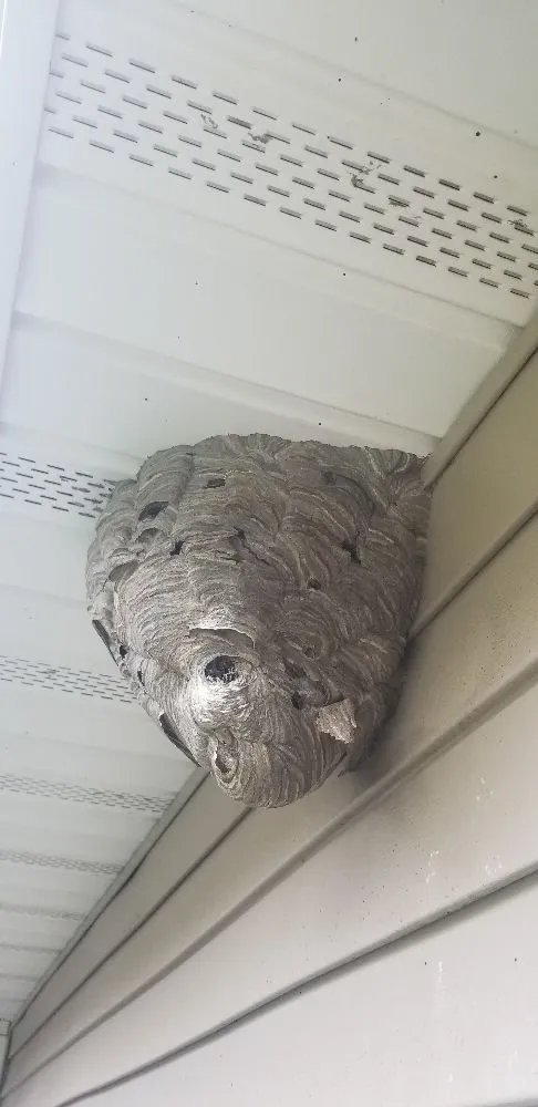 Custom lawn care service for year-round maintenance across Syracuse, NY - Runnin'Bugz Lawn, Pest and Snow Services