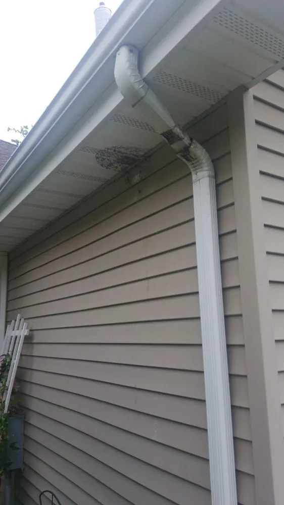 Professional landscape installation experts serving Syracuse, NY - Runnin'Bugz Lawn, Pest and Snow Services