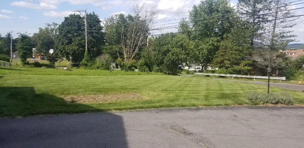 Top-rated landscape installation experts serving Syracuse, NY - Runnin'Bugz Lawn, Pest and Snow Services