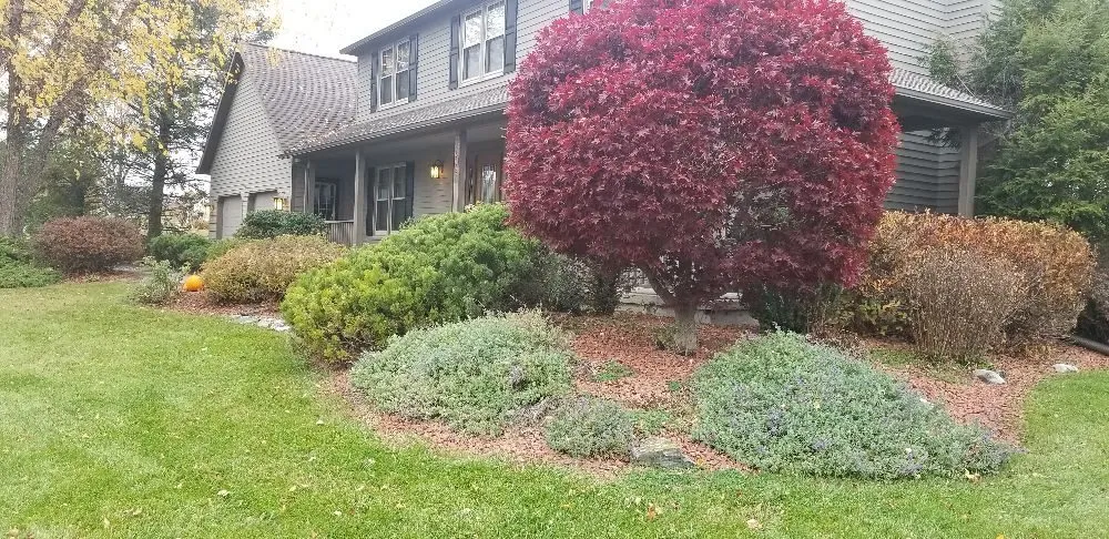 Reliable landscaping services in Syracuse, NY by Runnin'Bugz Lawn, Pest and Snow Services