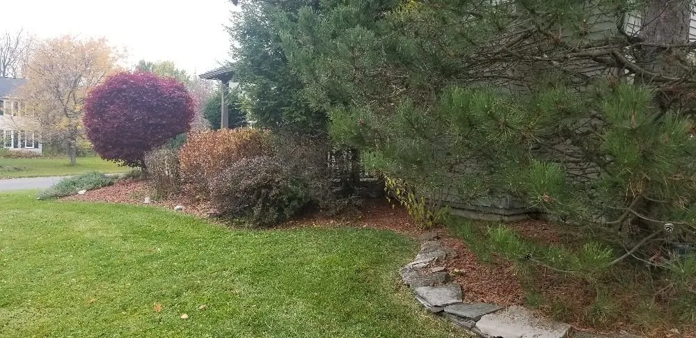 Custom lawn mowing service for homes in Syracuse, NY by Runnin'Bugz Lawn, Pest and Snow Services