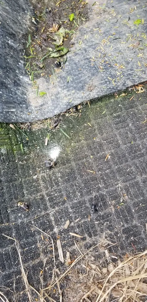 Affordable garden landscaping for residential properties across Syracuse, NY - Runnin'Bugz Lawn, Pest and Snow Services