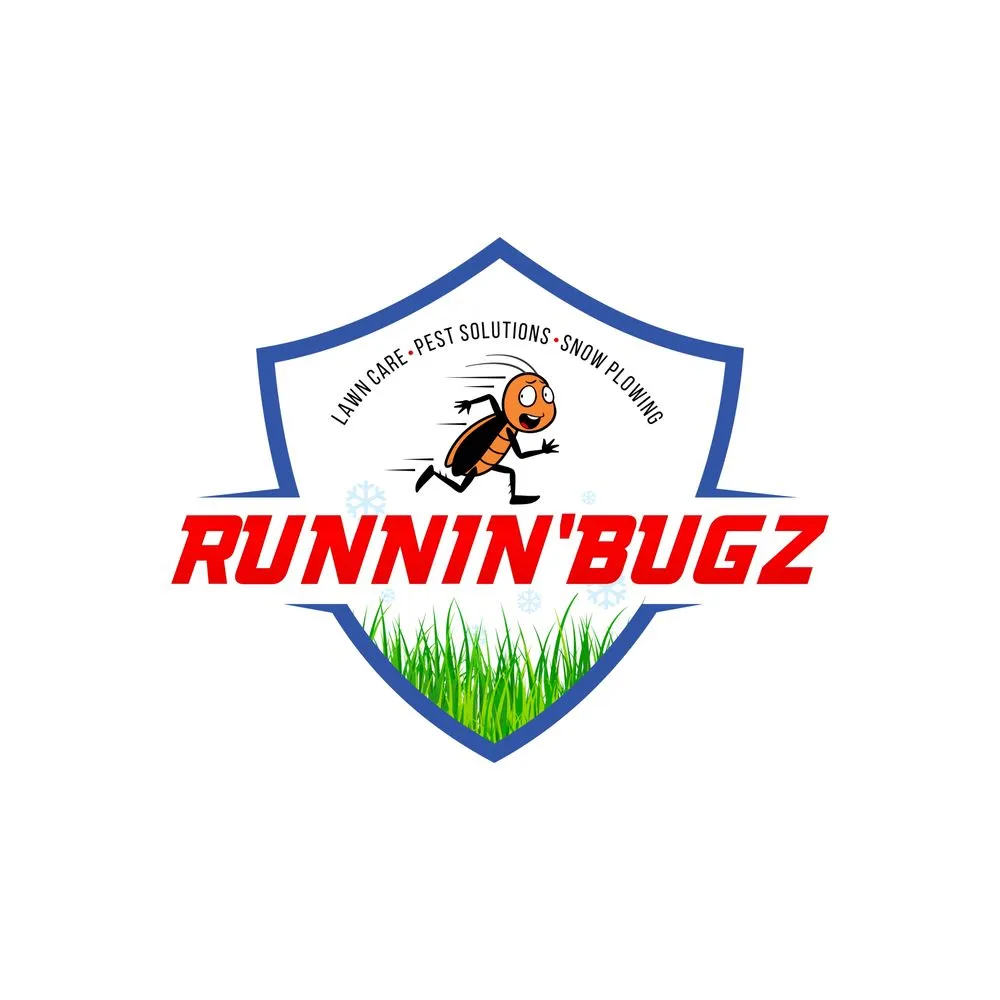 Expert outdoor landscaping experts serving Syracuse, NY - Runnin'Bugz Lawn, Pest and Snow Services