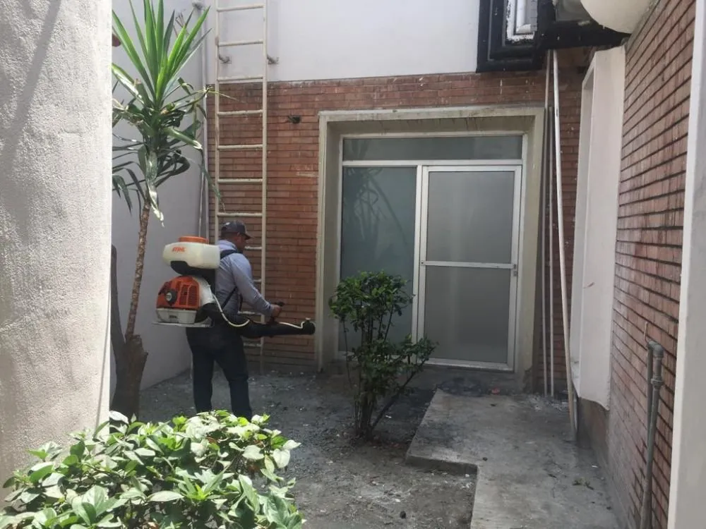 Trusted landscape design in Syracuse, NY by Runnin'Bugz Lawn, Pest and Snow Services