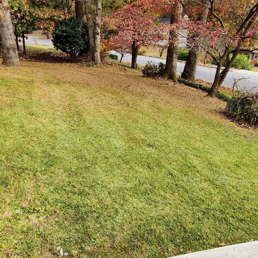 Professional outdoor landscaping in Austell, GA - Running Blades Lawn Care