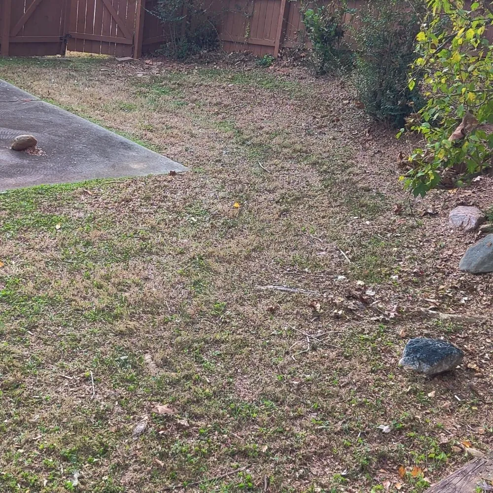 Expert landscaping services for year-round maintenance across Austell, GA - Running Blades Lawn Care