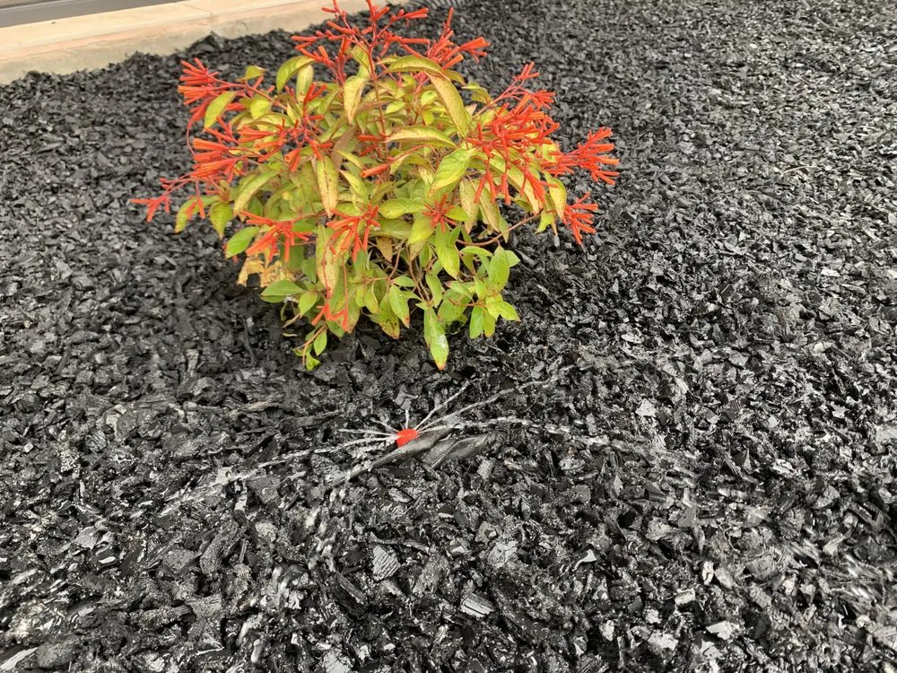 Expert residential landscaping in Manor, TX - Running C Construction