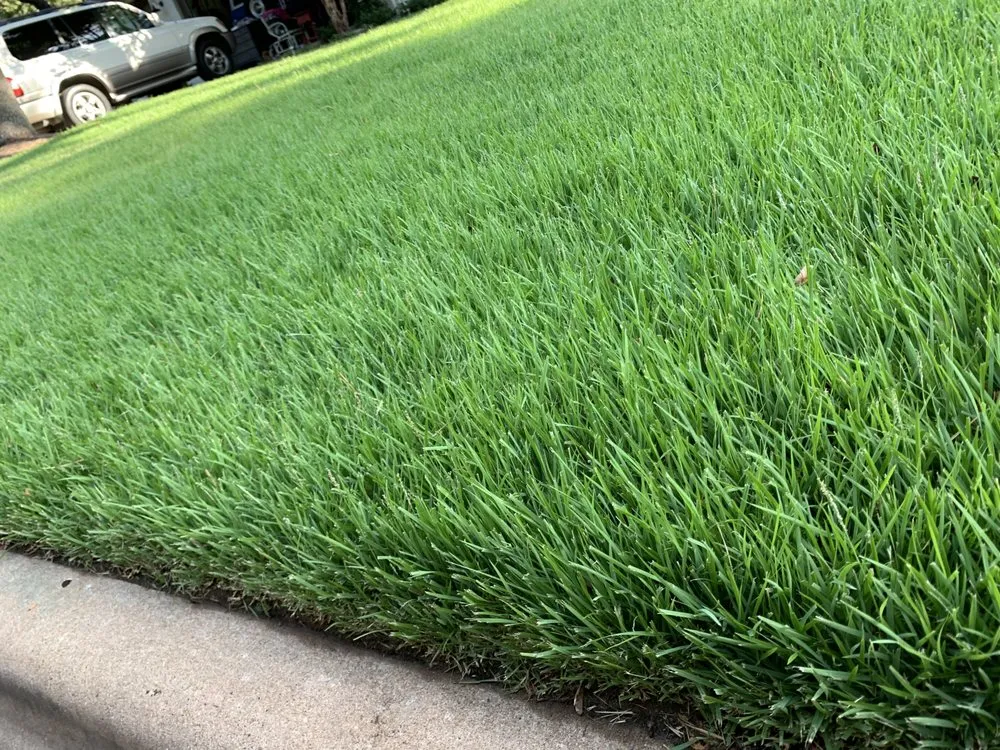 Local garden landscaping near you across Manor, TX - Running C Construction