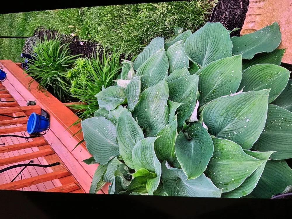 Local residential landscaping in Hamilton, OH by Running Circles Lawn Care Service