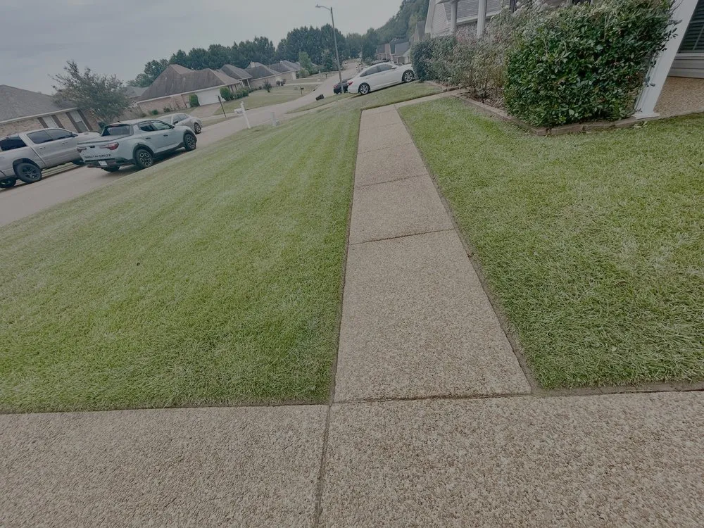 Affordable garden landscaping in Jackson, MS - Running Man