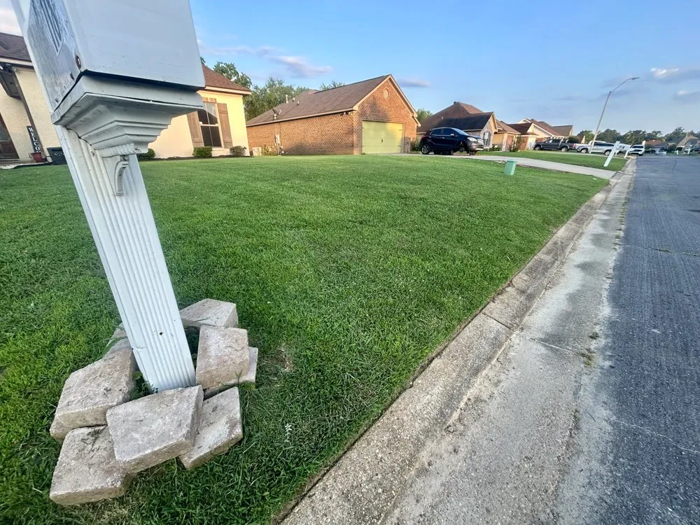 Top-rated landscaping services for homes across Jackson, MS - Running Man