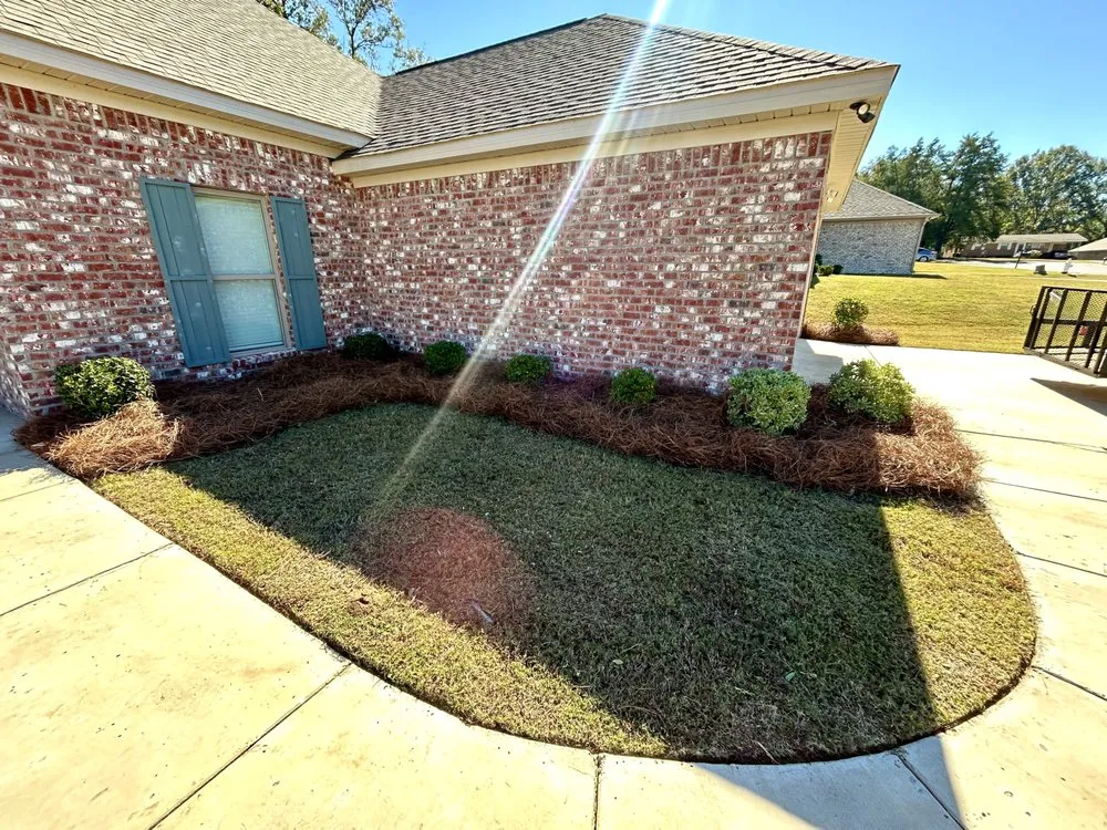 Custom yard cleanup service in Jackson, MS by Running Man