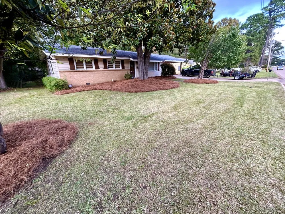 Top-rated residential landscaping for beautiful yards in Jackson, MS by Running Man