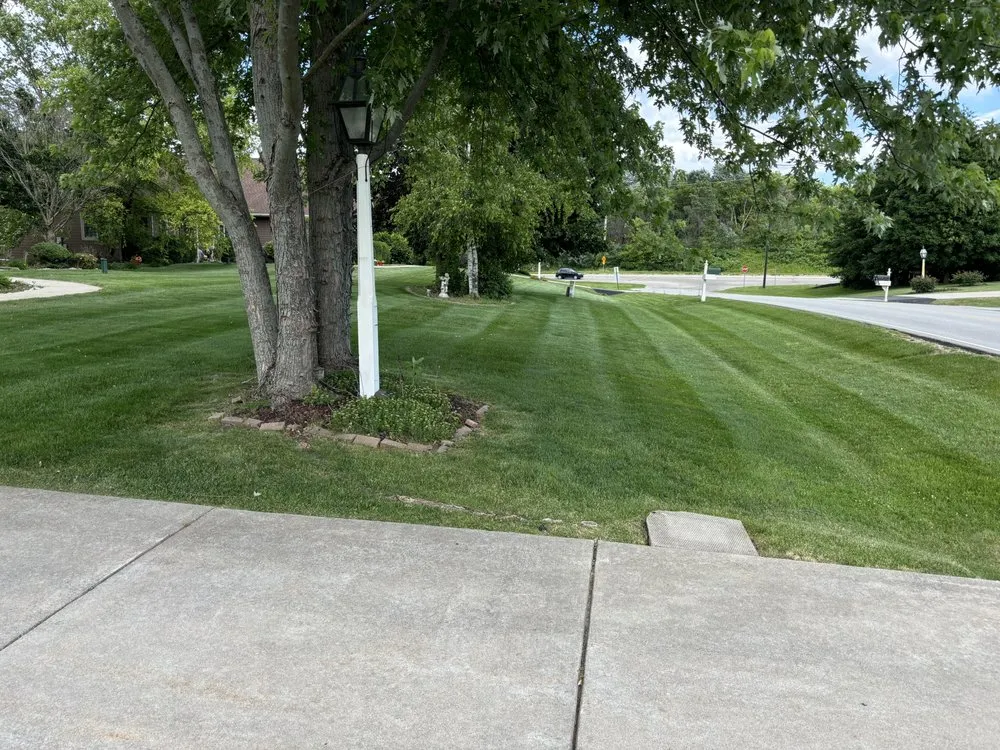 Professional landscaping services experts serving Vernon, WI - Running Tru Services