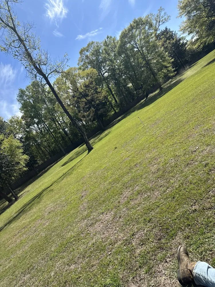 Trusted yard cleanup service for residential properties across Citronelle, AL - RunningGunn’s Lawn Care