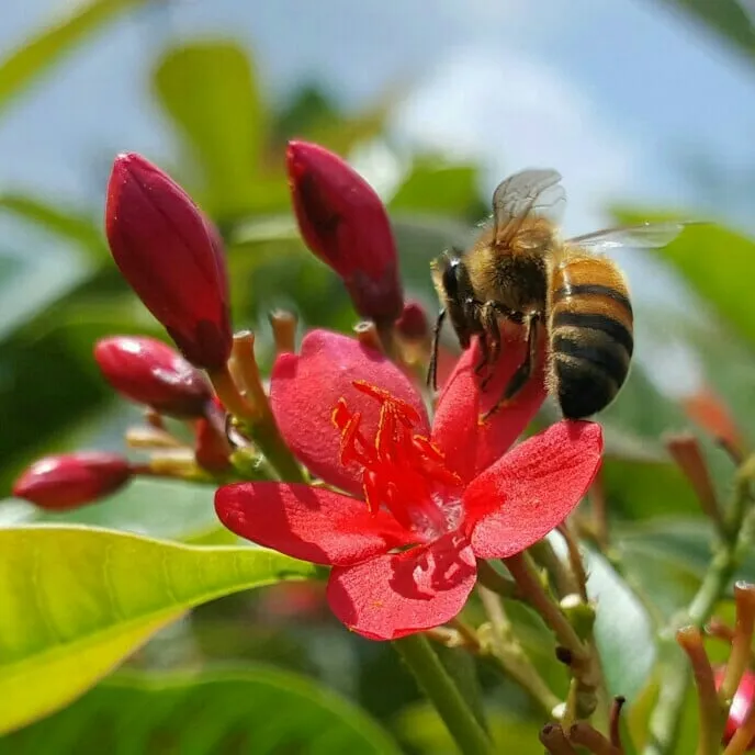 Expert outdoor landscaping in Winter Haven, FL - Rupertan