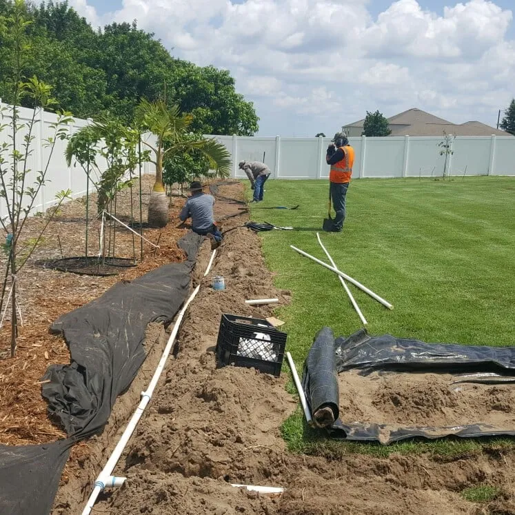 Reliable lawn care service experts serving Winter Haven, FL - Rupertan