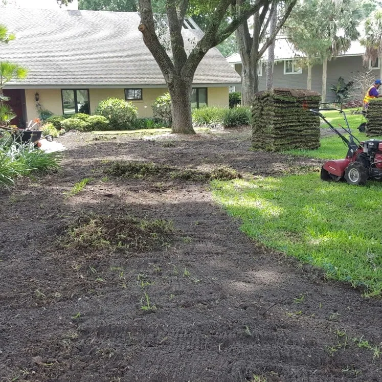 Affordable outdoor landscaping near you across Winter Haven, FL - Rupertan