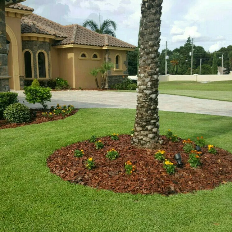 Professional garden landscaping in Winter Haven, FL by Rupertan
