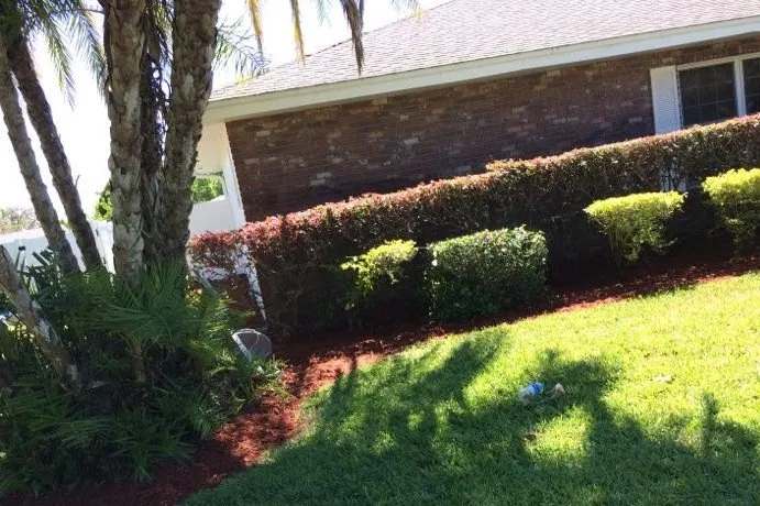 Professional landscaping services experts serving Winter Haven, FL - Rupertan