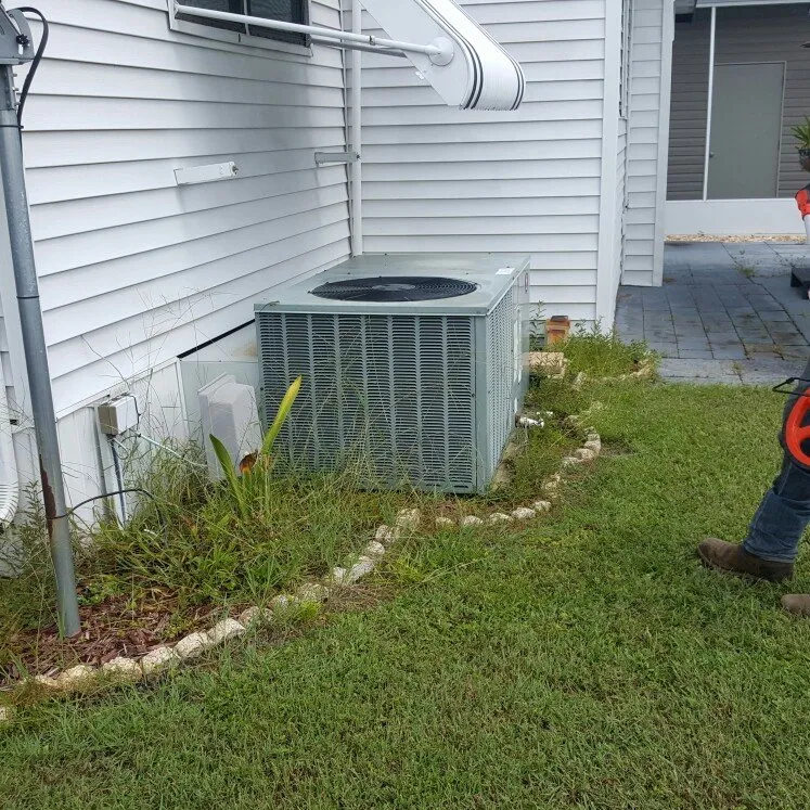Reliable residential landscaping in Winter Haven, FL - Rupertan