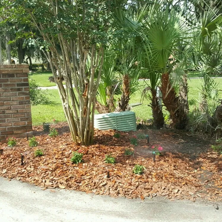 Affordable landscape installation experts serving Winter Haven, FL - Rupertan