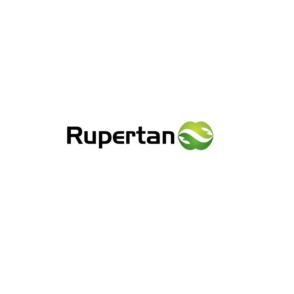 Reliable yard maintenance experts serving Winter Haven, FL - Rupertan