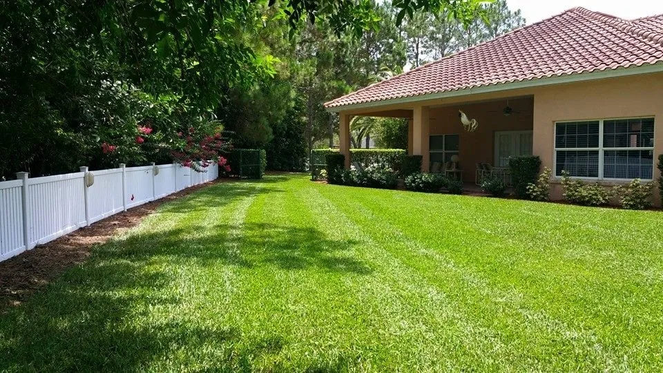 Reliable yard maintenance in Winter Haven, FL - Rupertan