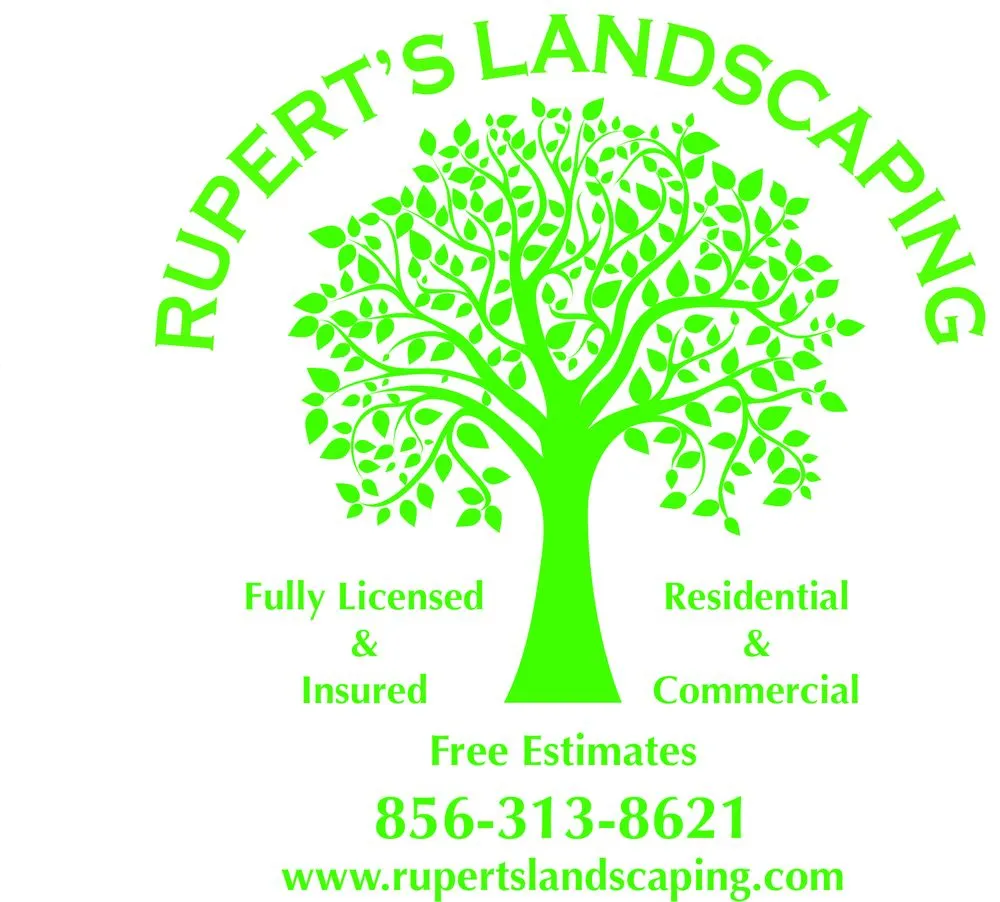 Affordable yard cleanup service in Gibbsboro, NJ - Rupert's Landscaping