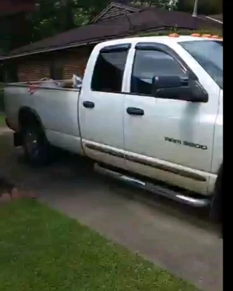 Custom lawn care service in Clanton, AL - Rural Concrete Contractor