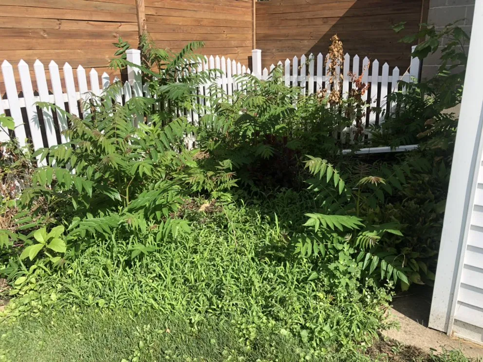 Reliable landscaping services in Princeton, IL - Rural Route Services Land Care