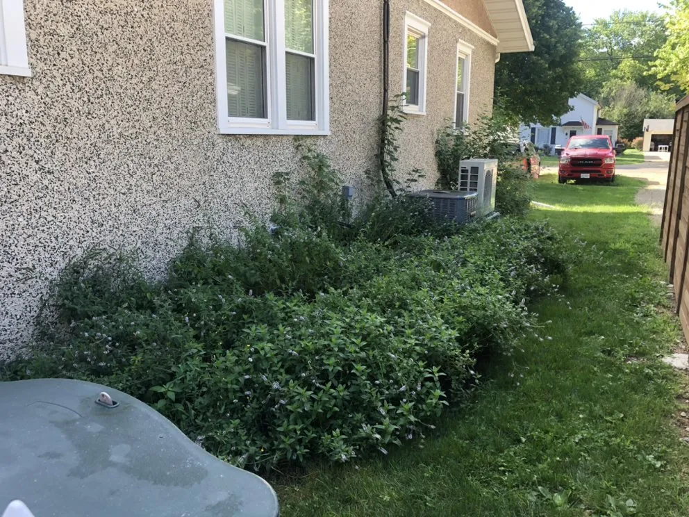 Professional landscaping services experts serving Princeton, IL - Rural Route Services Land Care