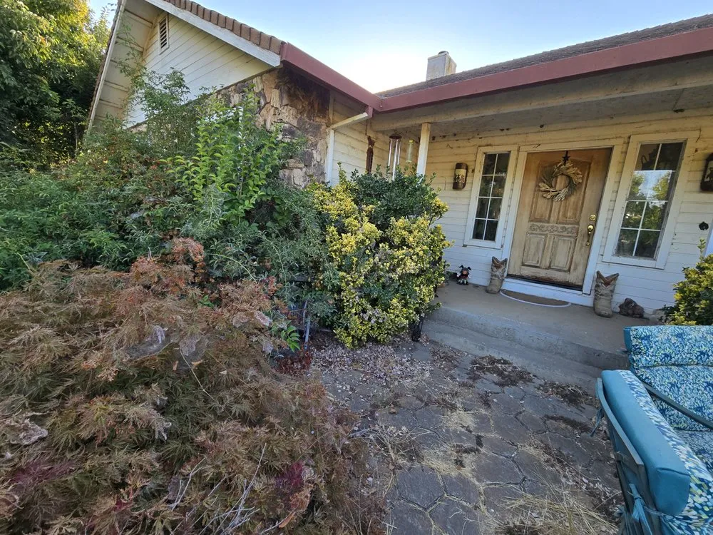 Expert yard cleanup service experts serving Galt, CA - Rusbelt Landscape