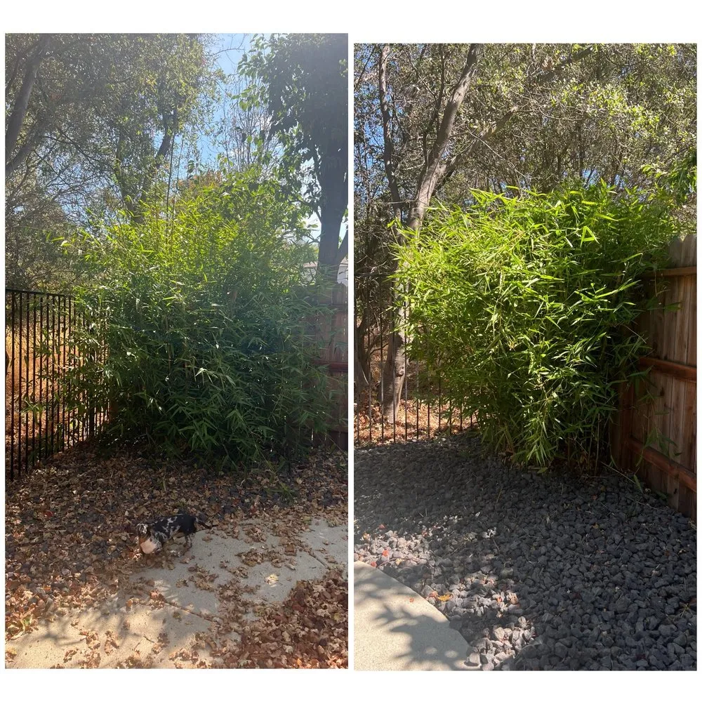 Trusted residential landscaping in Galt, CA - Rusbelt Landscape