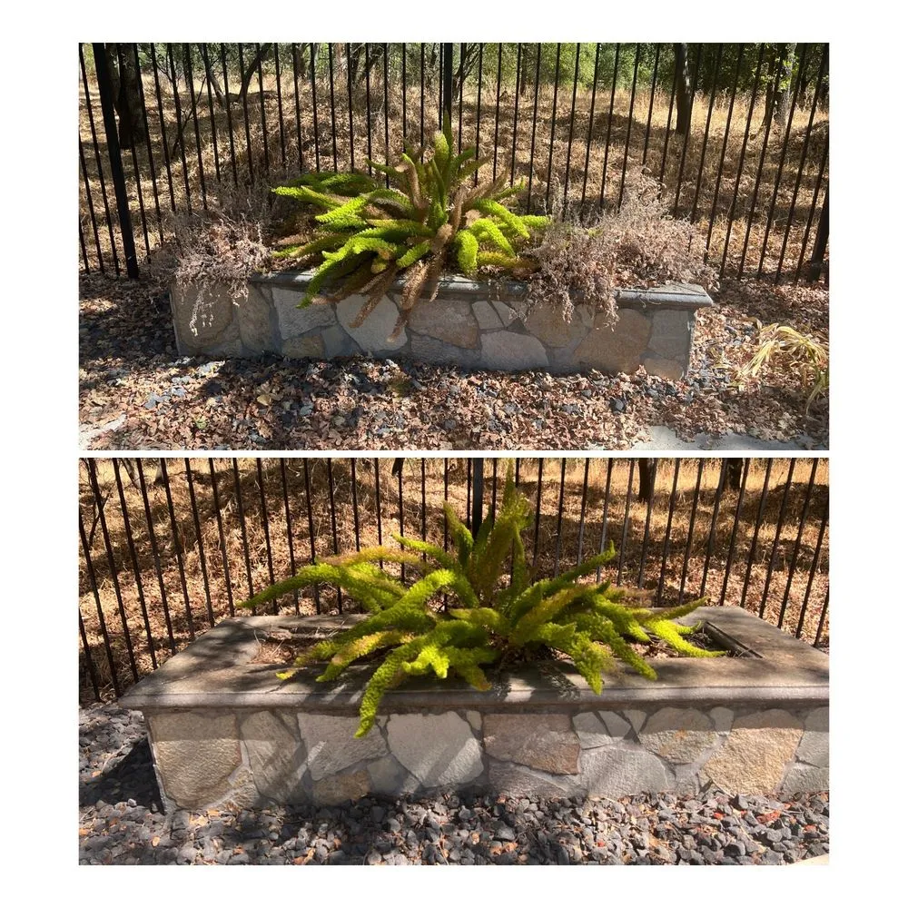 Affordable landscaping services with custom design across Galt, CA - Rusbelt Landscape