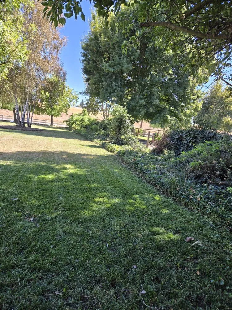 Affordable outdoor landscaping with custom design across Galt, CA - Rusbelt Landscape