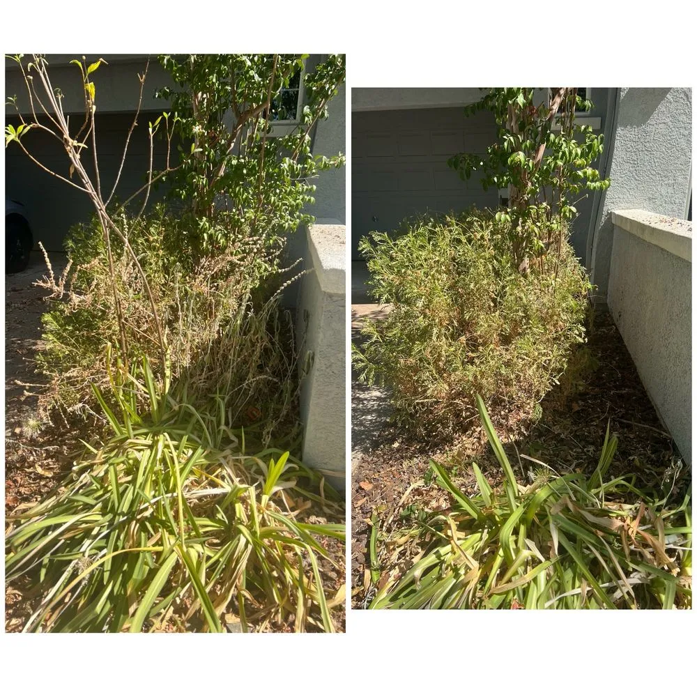 Trusted residential landscaping with custom design in Galt, CA by Rusbelt Landscape