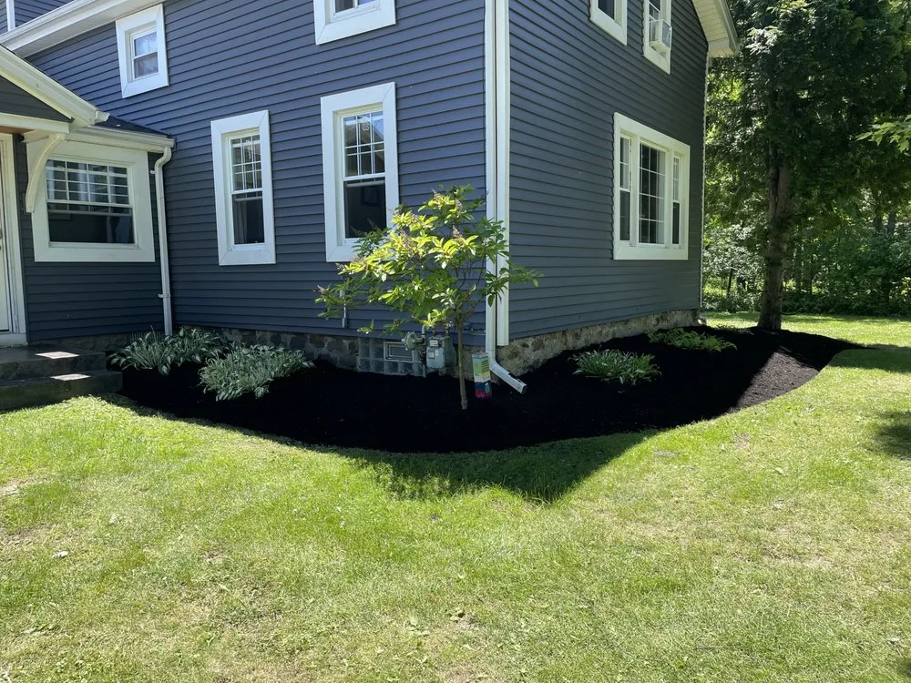 Professional lawn care service near you across Alden, NY - Ruscos Gallery