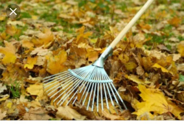 Affordable residential landscaping for year-round maintenance across Cranston, RI - Rush Lawn Maintenance